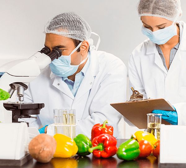 Curso de Vigilância Sanitária